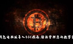 TP钱包电脑版导入BSC指南：轻松管理您的数字资产