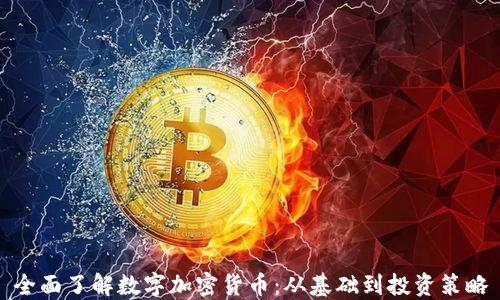 
全面了解数字加密货币：从基础到投资策略