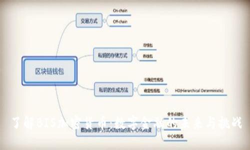 了解BIS加密货币：数字金融的未来与挑战