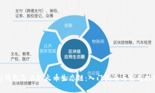 tp钱包怎么玩火币生态链：入门指南与实用技巧