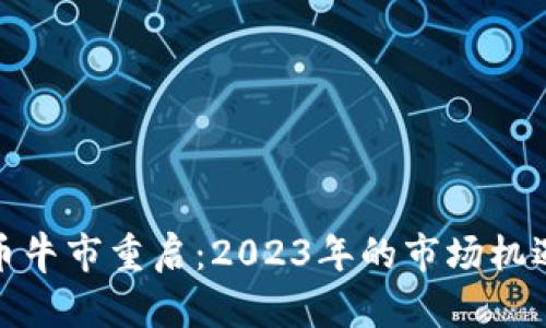 加密货币牛市重启：2023年的市场机遇与挑战