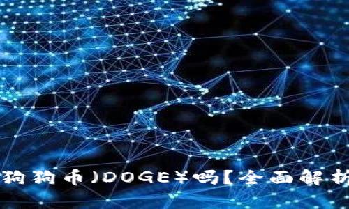 TP钱包支持狗狗币（DOGE）吗？全面解析与使用指南