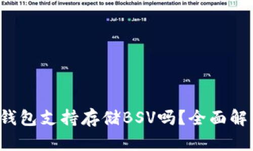 TP钱包支持存储BSV吗？全面解析！