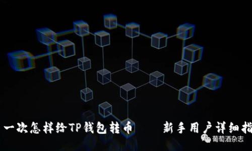 第一次怎样给TP钱包转币——新手用户详细指南