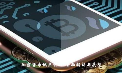 加密货币试点计划：全面解析与展望