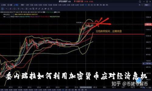 委内瑞拉如何利用加密货币应对经济危机