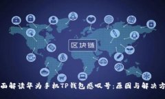 全面解读华为手机TP钱包感叹号：原因与解决方案