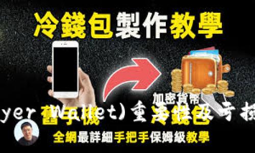 台皮钱包(Player Wallet)重要性及亏损风险深入分析