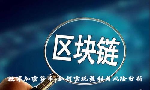 数字加密货币：如何实现盈利与风险分析