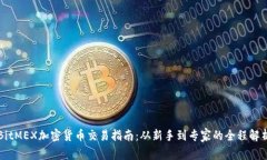 BitMEX加密货币交易指南：从新手到专家的全程解