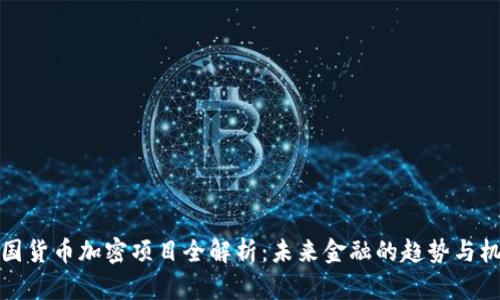 中国货币加密项目全解析：未来金融的趋势与机遇