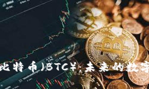 深入解析比特币（BTC）：未来的数字货币之路