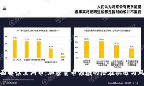 全面解读黑洞币：加密货币领域的潜在机遇与风险