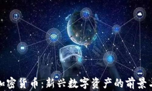 
MCU加密货币：新兴数字资产的前景与挑战