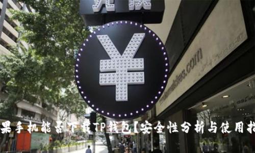 苹果手机能否下载TP钱包？安全性分析与使用指南