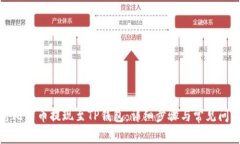 如何将比特币提现至TP钱包：详细步骤与常见问题