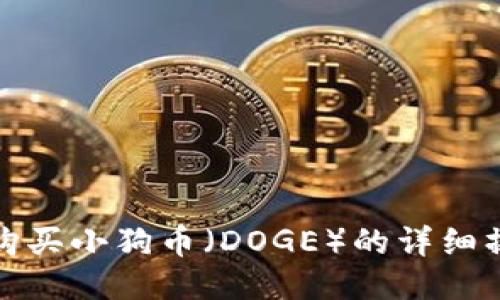 TP钱包购买小狗币（DOGE）的详细操作流程