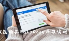 如何通过TP钱包购买BabyDoge币及实时价格查询指南