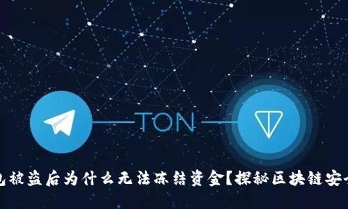 TP钱包被盗后为什么无法冻结资金？探秘区块链安全机制