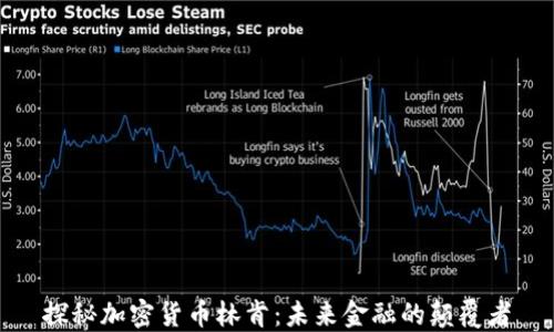 
探秘加密货币林肯：未来金融的颠覆者