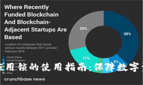 TP钱包应用锁的使用指南：保障数字资产安全