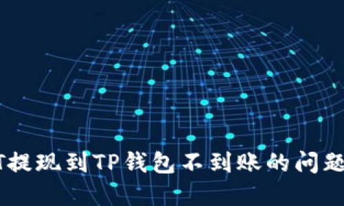 如何解决HT提现到TP钱包不到账的问题: 完整指南