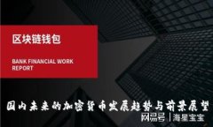 国内未来的加密货币发展趋势与前景展望