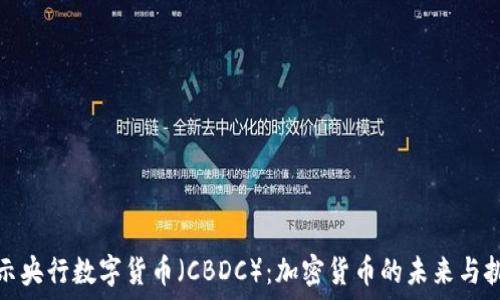   
揭示央行数字货币（CBDC）：加密货币的未来与挑战