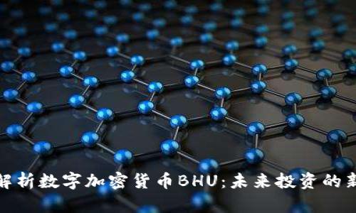 全面解析数字加密货币BHU：未来投资的新趋势