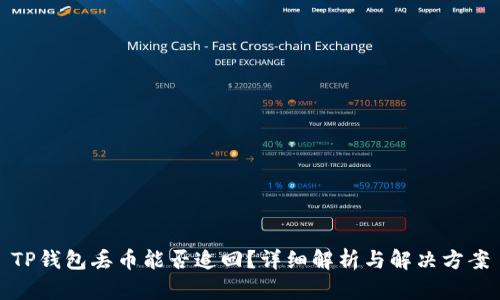 TP钱包丢币能否追回？详细解析与解决方案