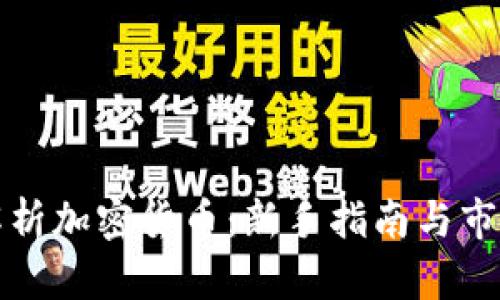 深入解析加密货币：新手指南与市场趋势