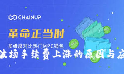 优质
tp钱包波场手续费上涨的原因与应对策略