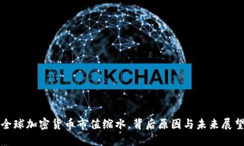 全球加密货币市值缩水，背后原因与未来展望