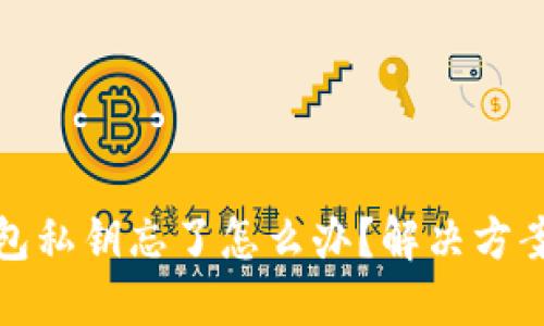 TP钱包私钥忘了怎么办？解决方案详解