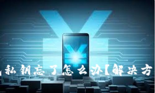 TP钱包私钥忘了怎么办？解决方案详解