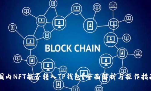 国内NFT能否转入TP钱包？全面解析与操作指南