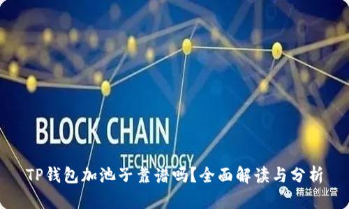 TP钱包加池子靠谱吗？全面解读与分析
