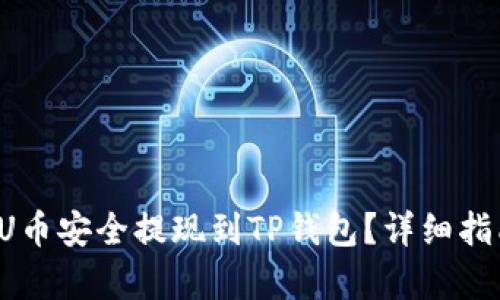  如何将欧易U币安全提现到TP钱包？详细指南与步骤解析