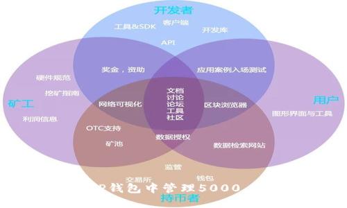 ### 如何在TP钱包中管理5000 USDT：全面指南