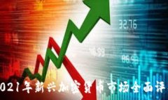   2021年新兴加密货币市场全面评析