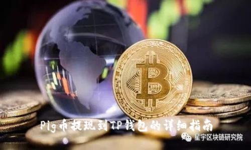 Pig币提现到TP钱包的详细指南