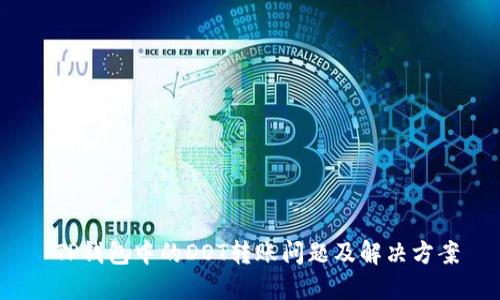 TP钱包中的DOT转账问题及解决方案