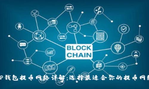 TP钱包提币网络详解：选择最适合你的提币网络