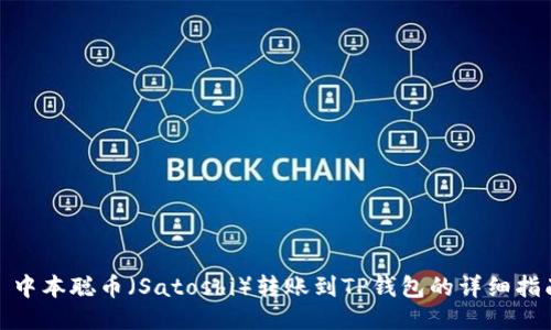 : 中本聪币（Satoshi）转账到TP钱包的详细指南