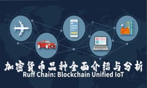 加密货币品种全面介绍与分析