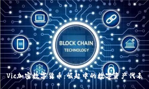 Vic加密数字货币：崛起中的数字资产代表