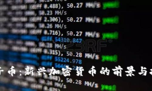 柚子币：新兴加密货币的前景与挑战