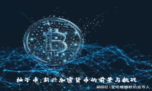 柚子币：新兴加密货币的前景与挑战
