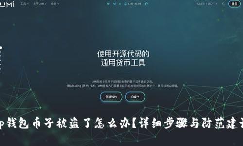 tp钱包币子被盗了怎么办？详细步骤与防范建议