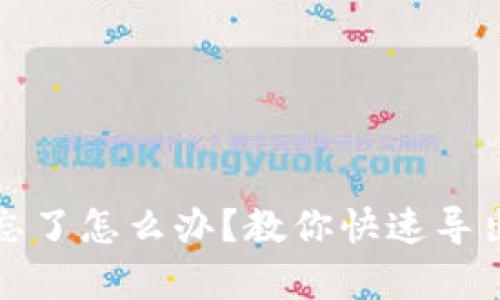 tp钱包密码忘了怎么办？教你快速导出密钥的方法
